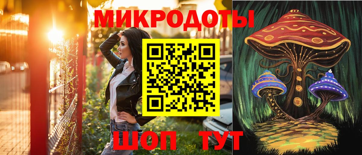 Псилоцибиновые грибы Psilocybine cubensis Тамбов