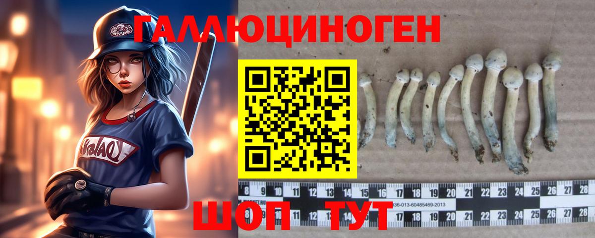 Псилоцибиновые грибы Cubensis  Вход с VPN  Галлюциногенные грибы ЛСД  как найти закладки  Тамбов 