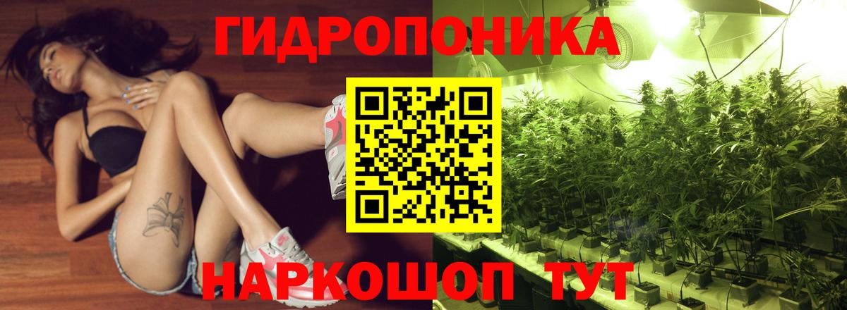 Шишки марихуана Amnesia Тамбов